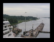 As we inch forward, the last lock's gates open for the the Zaandam